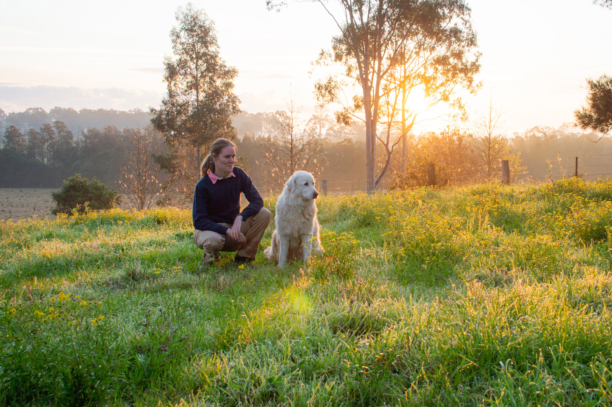 A woman crouches next to her dog in a farm paddock at sunrise.